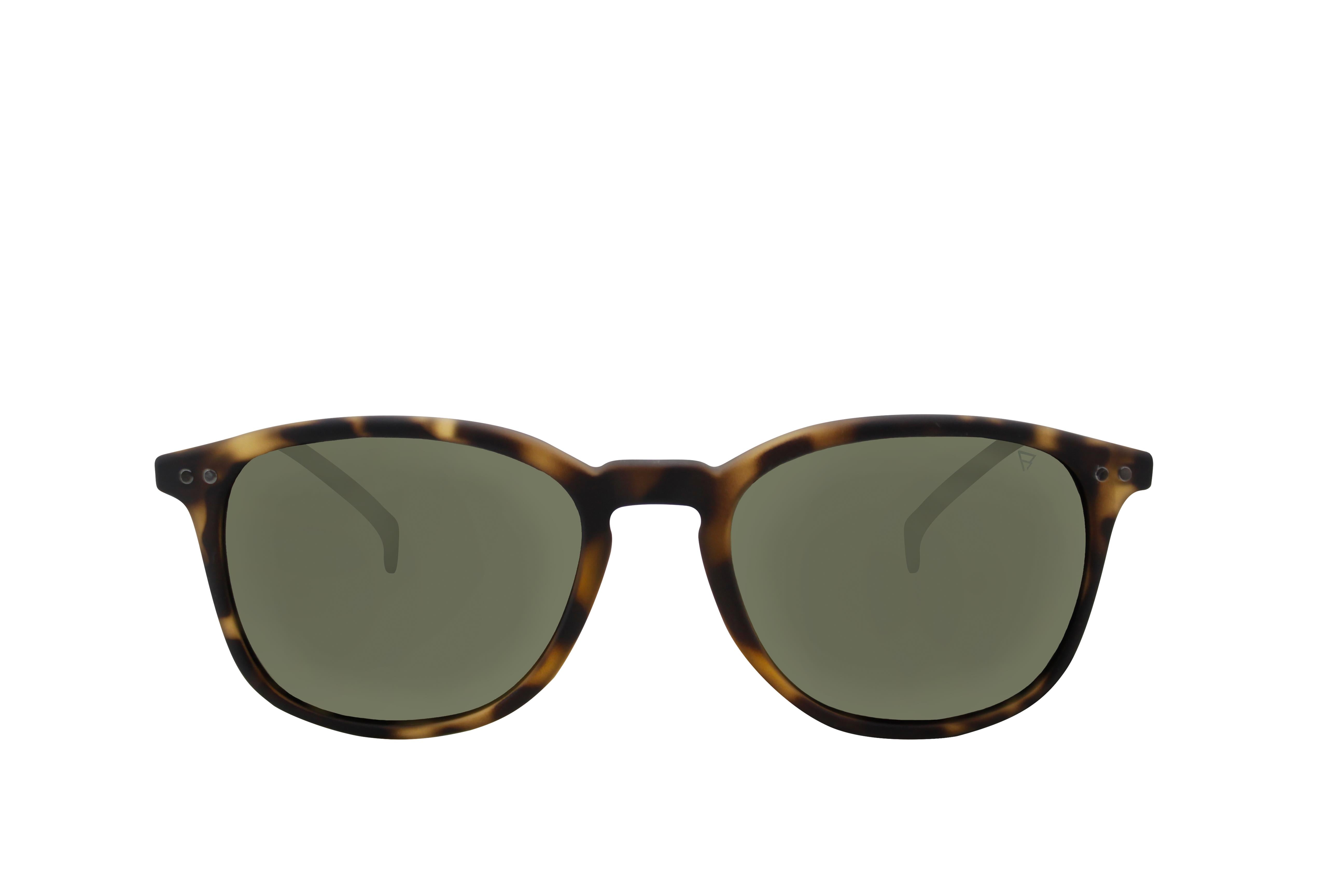 Denali-2 Sunglasses | Brown