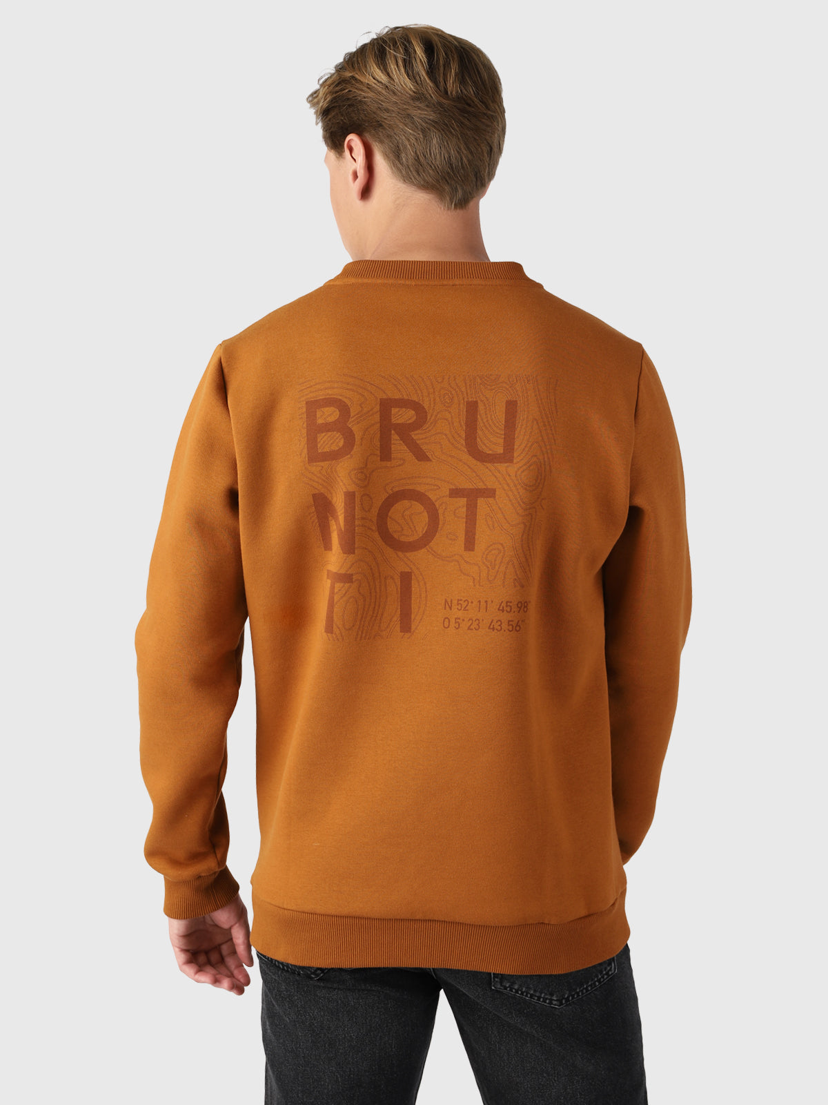 Ritcher Heren Sweater | Bruin