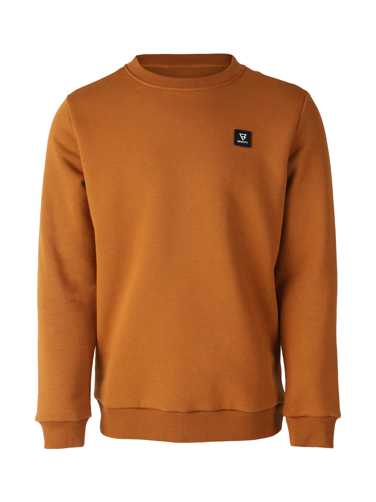 Ritcher Heren Sweater | Bruin