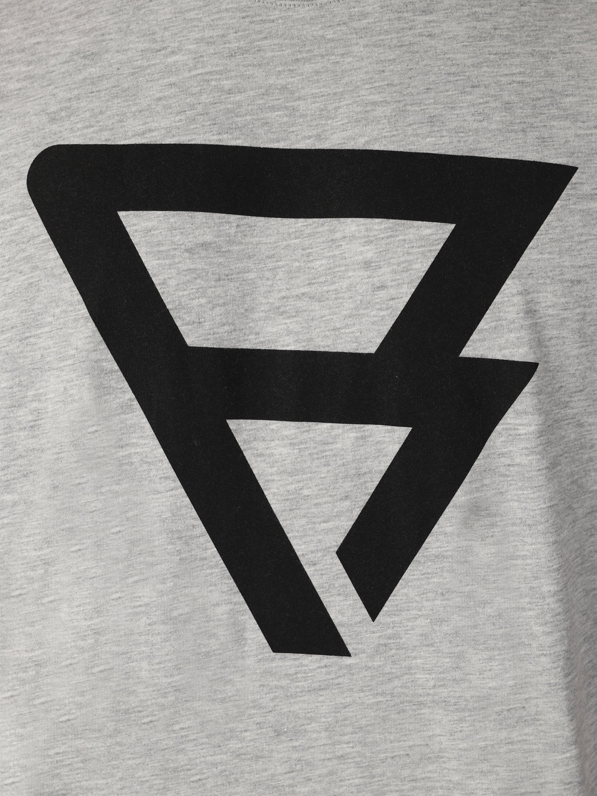 Alesso-R Herren T-Shirt | Grau