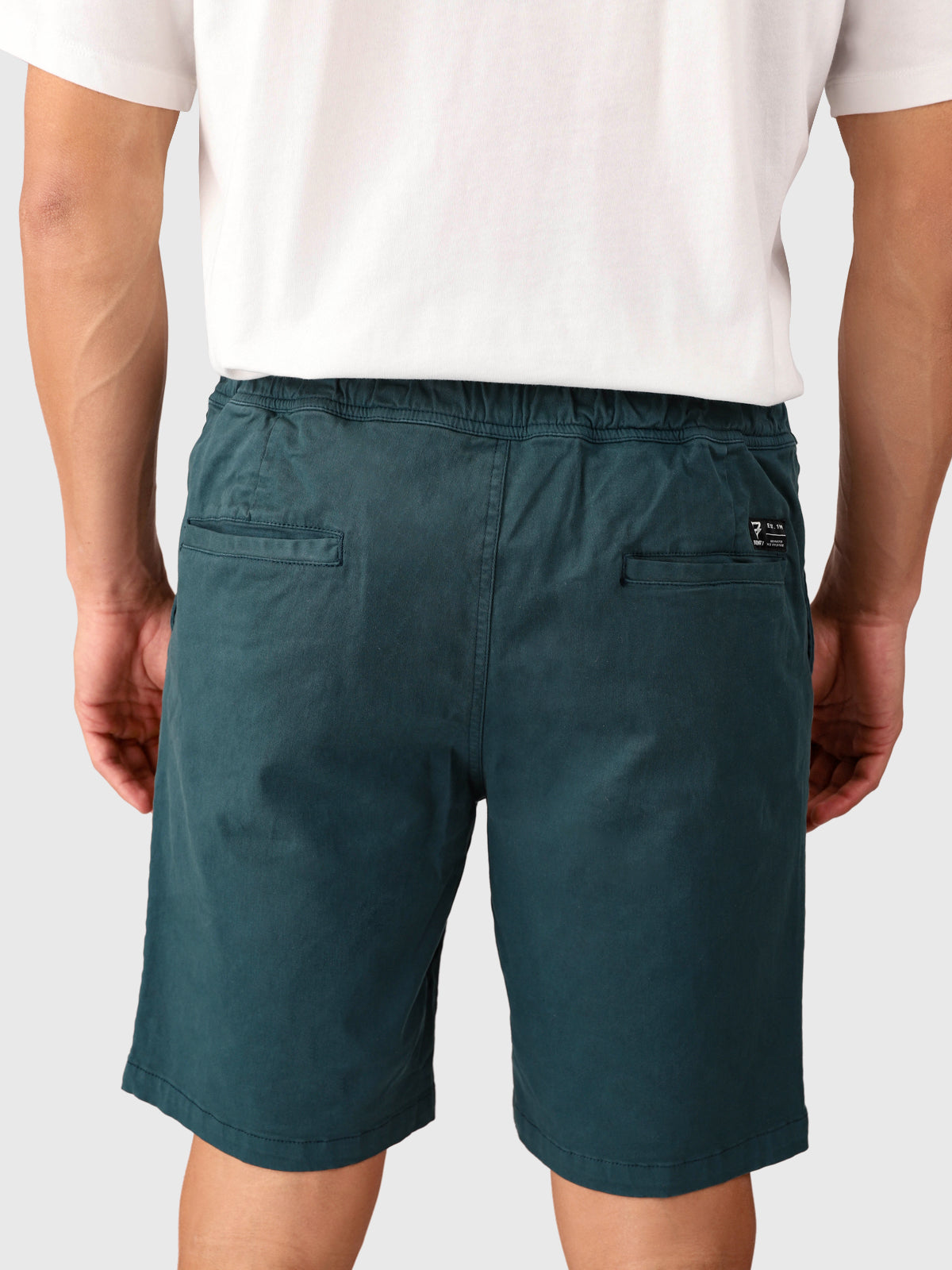 Carlos Men Walkshorts
