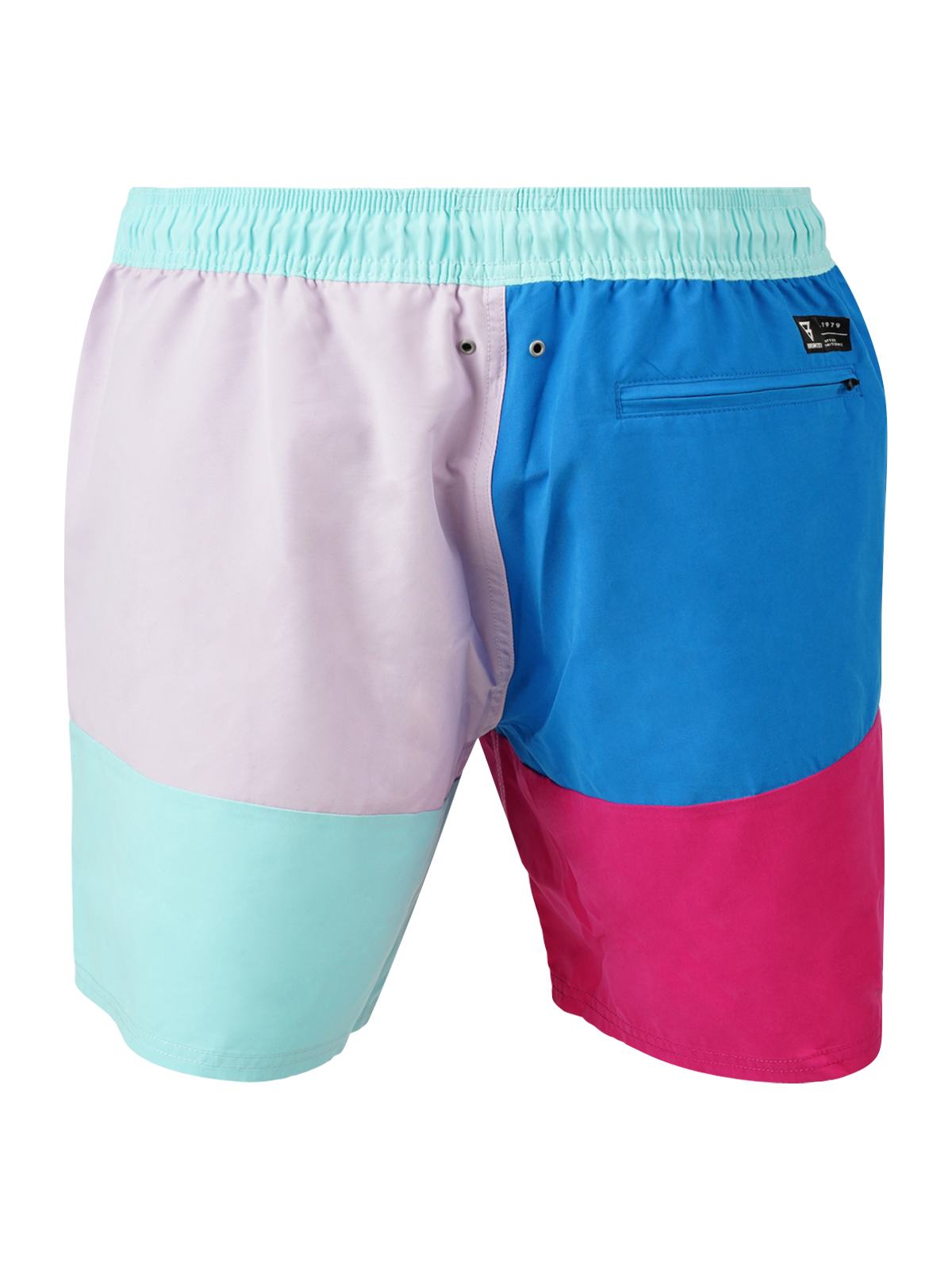 Dudley Men Swim Shorts | Purple