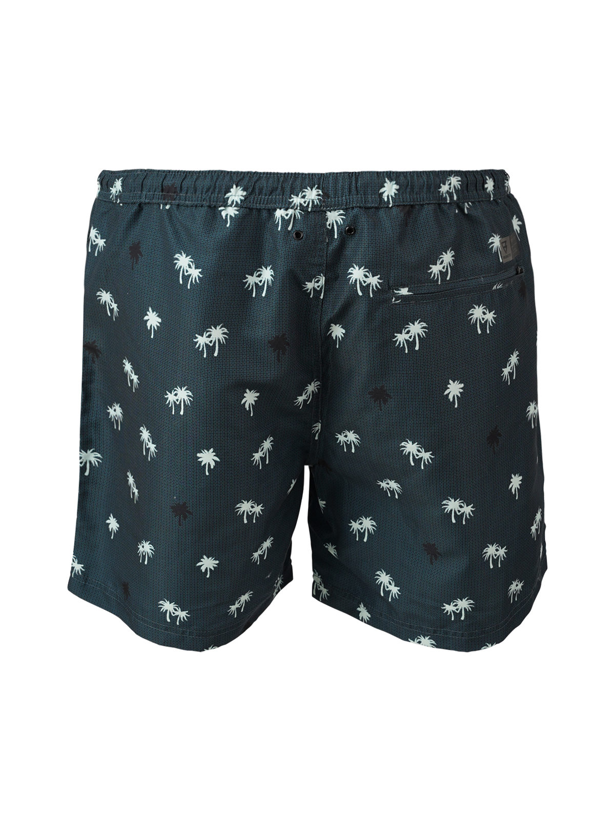 Roshan Men Swim Shorts | Green