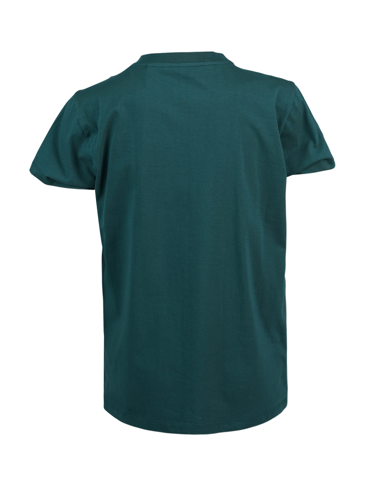 Jahny-Logosquare Boys T-shirt | Green