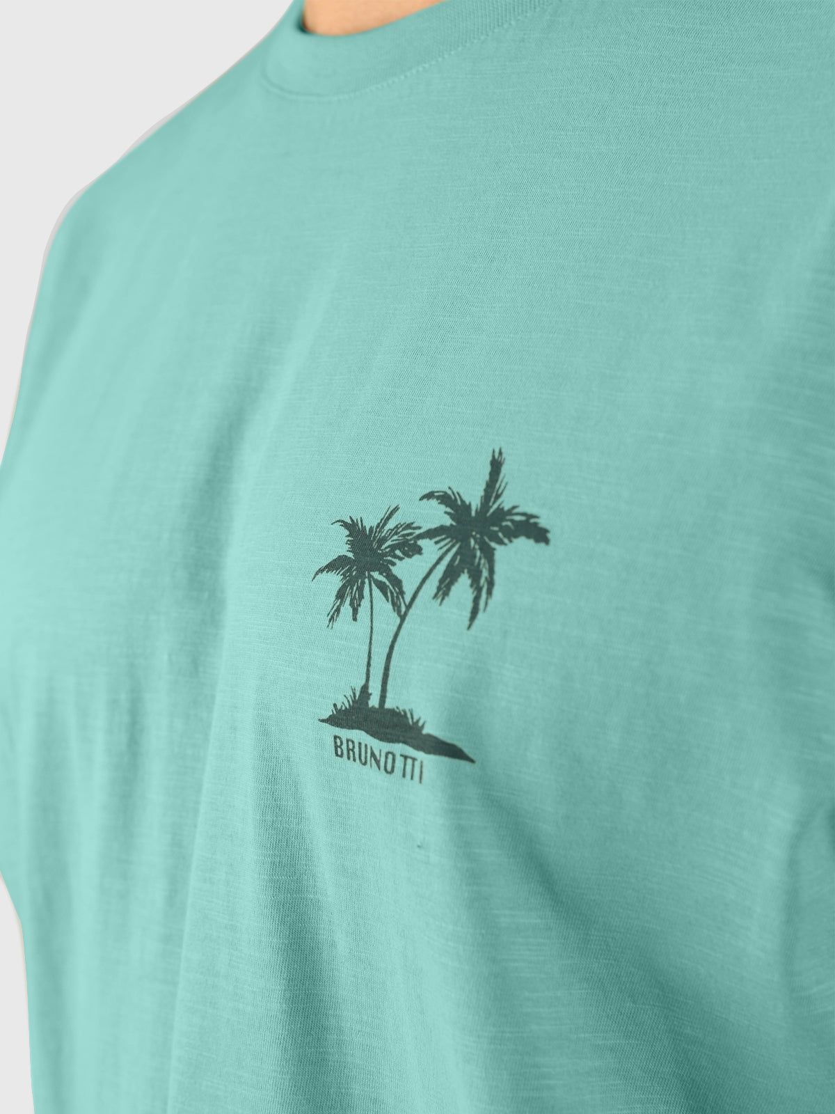 Whiterly Men T-shirt | Bottle Green