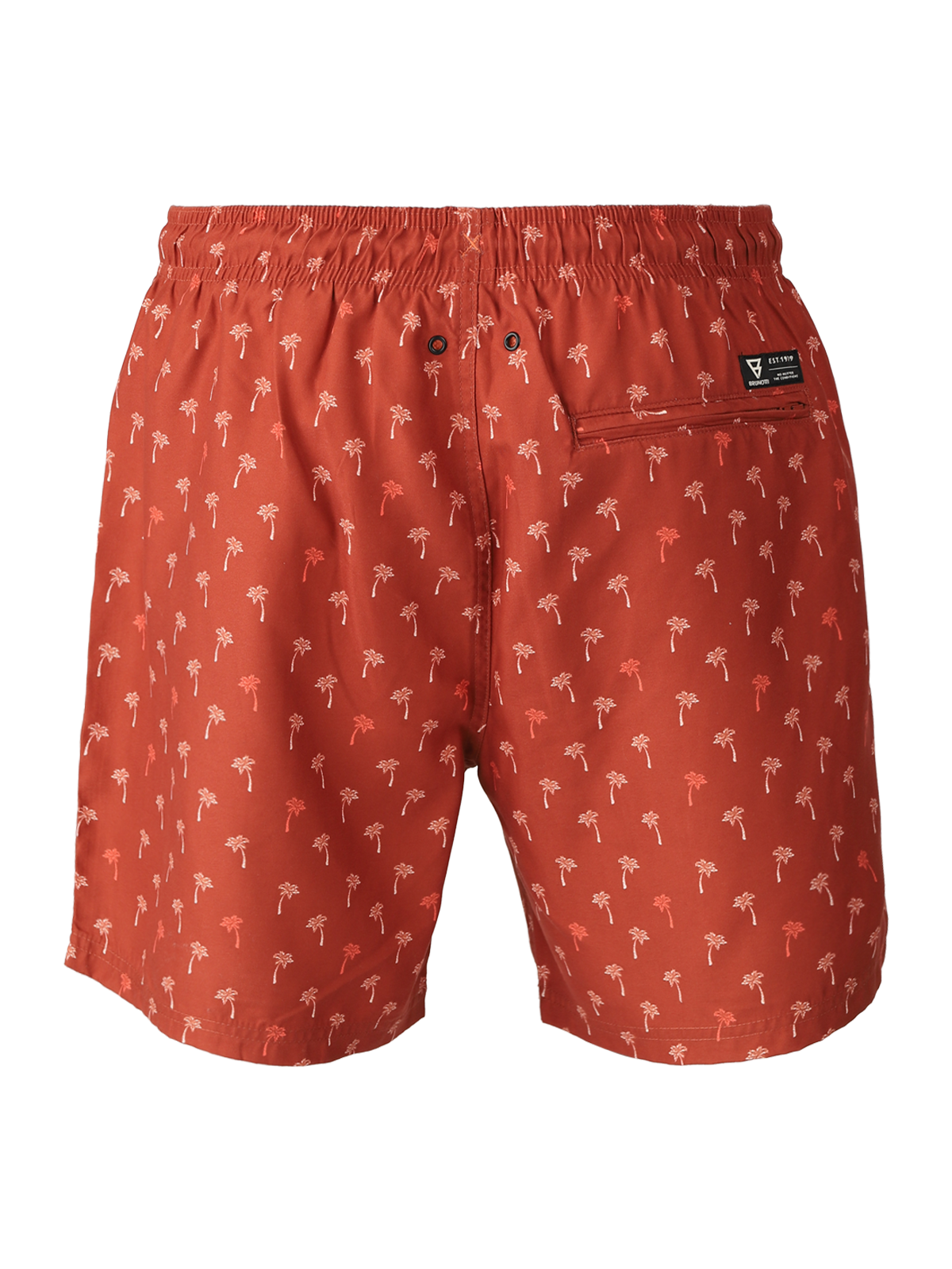 Cester-Mini Men Swim Shorts | Mini Palm Aqua Arabian Spice