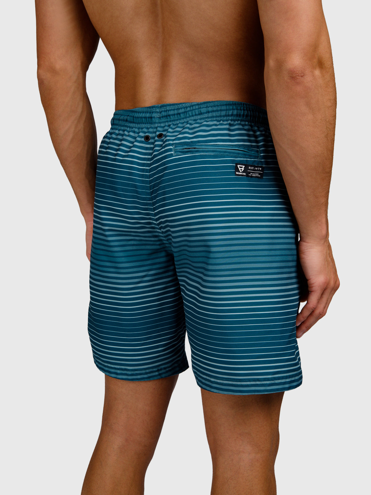 Cester-Stripe Men Swim Shorts | Mist