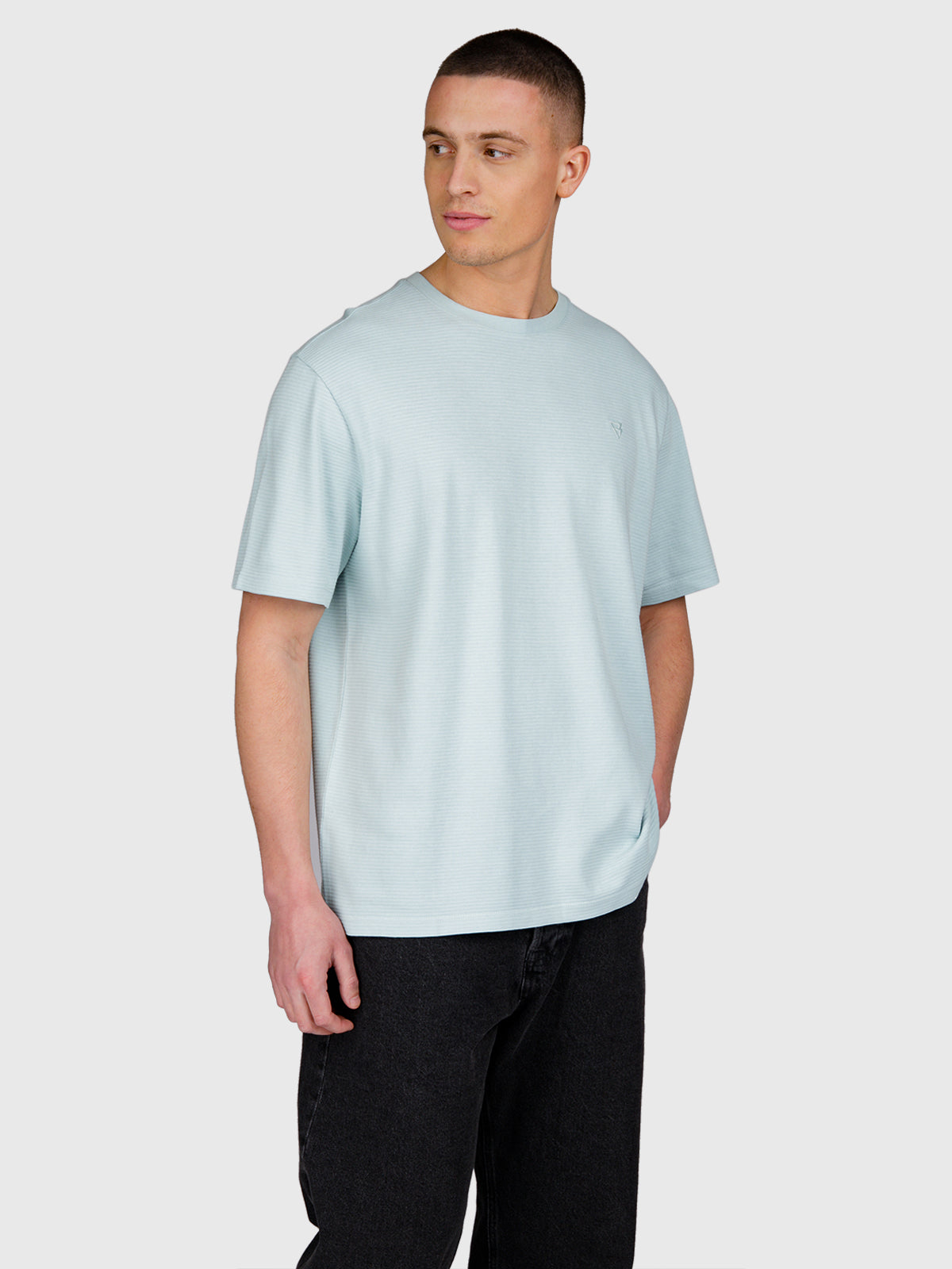Dozan Men T-shirt | Mist