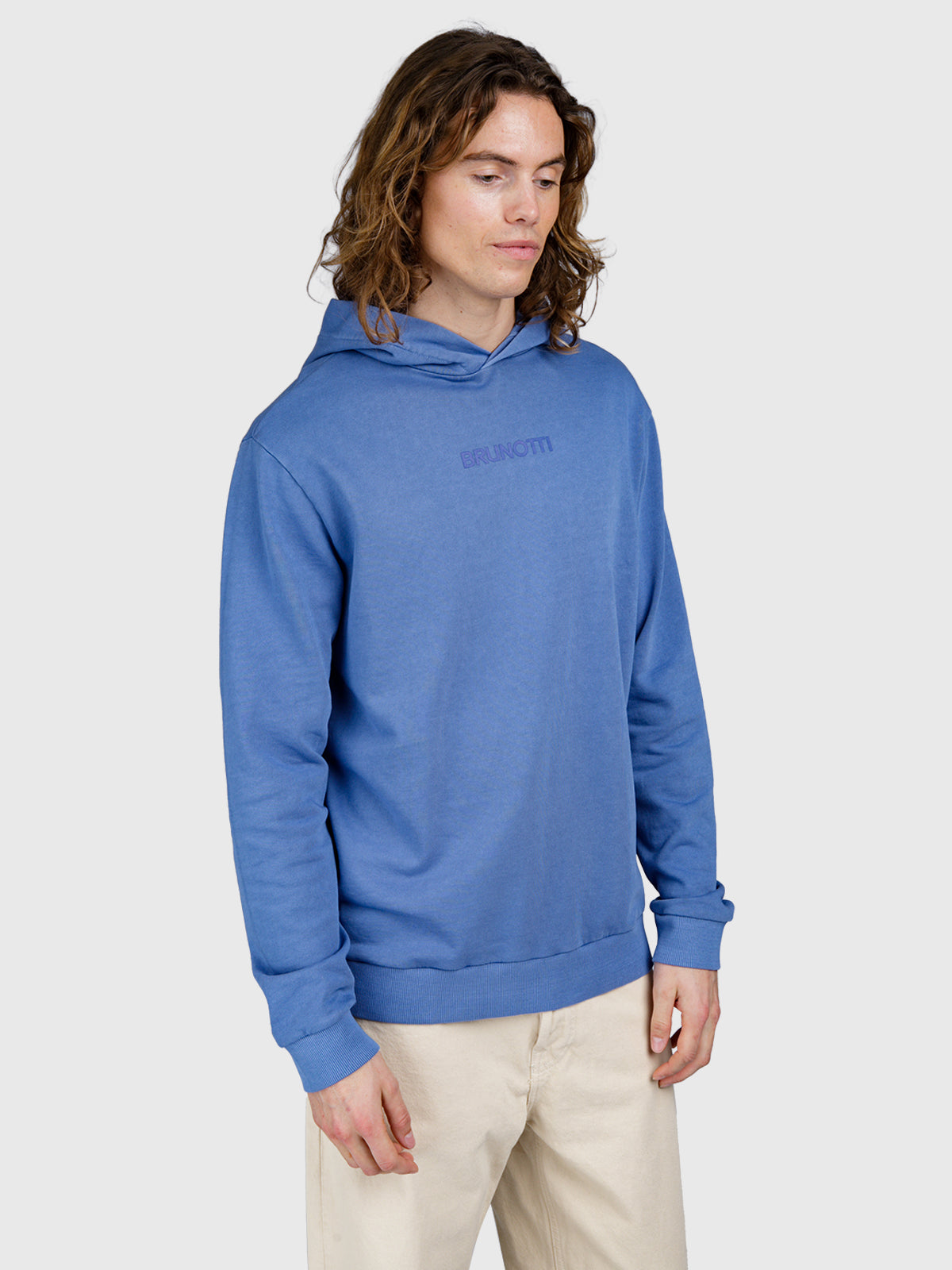 Steyn Herren Hoodie | Grayblue