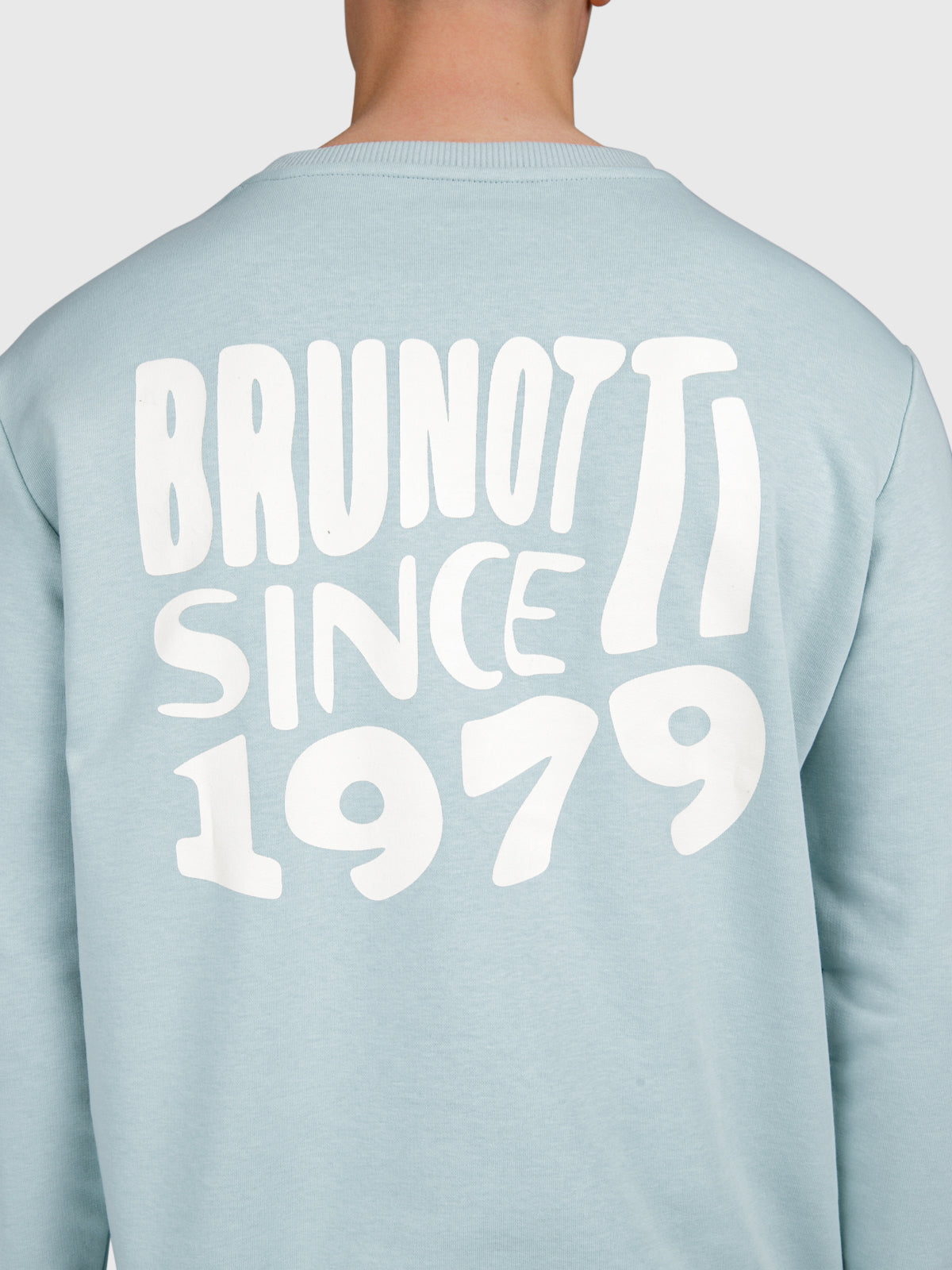 Vito Men Sweater | Mist