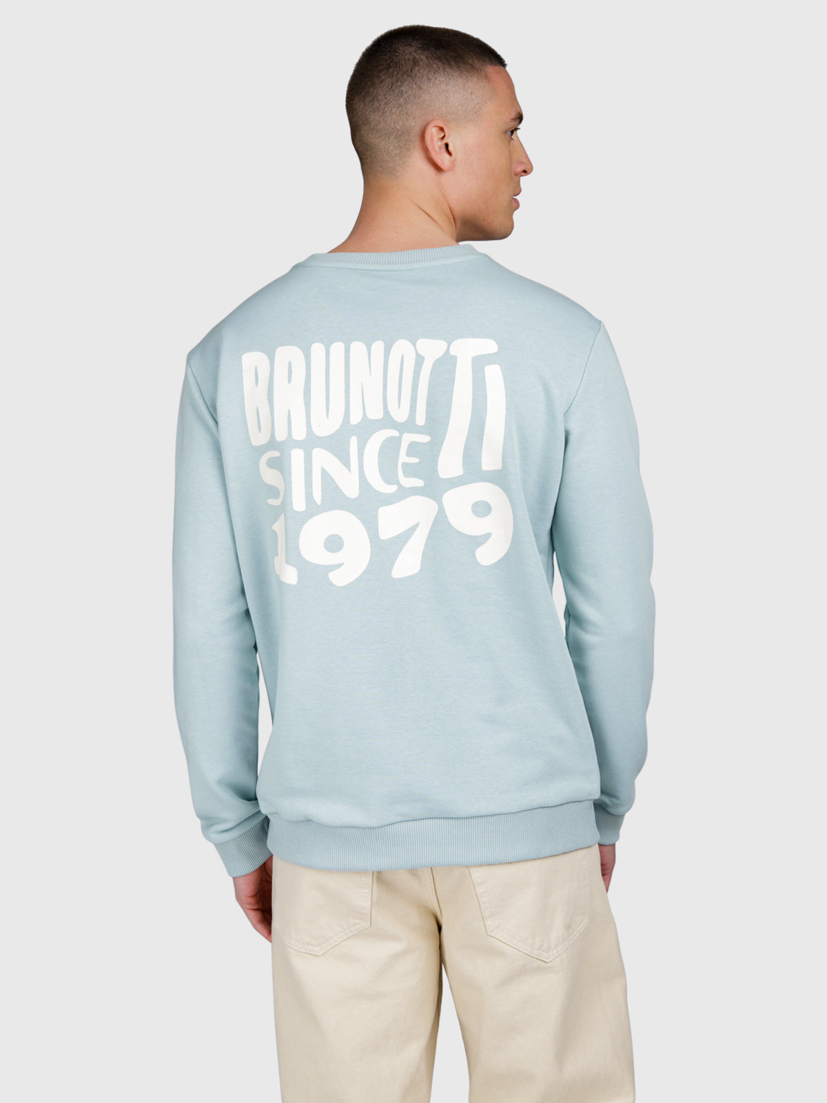 Vito Men Sweater | Mist