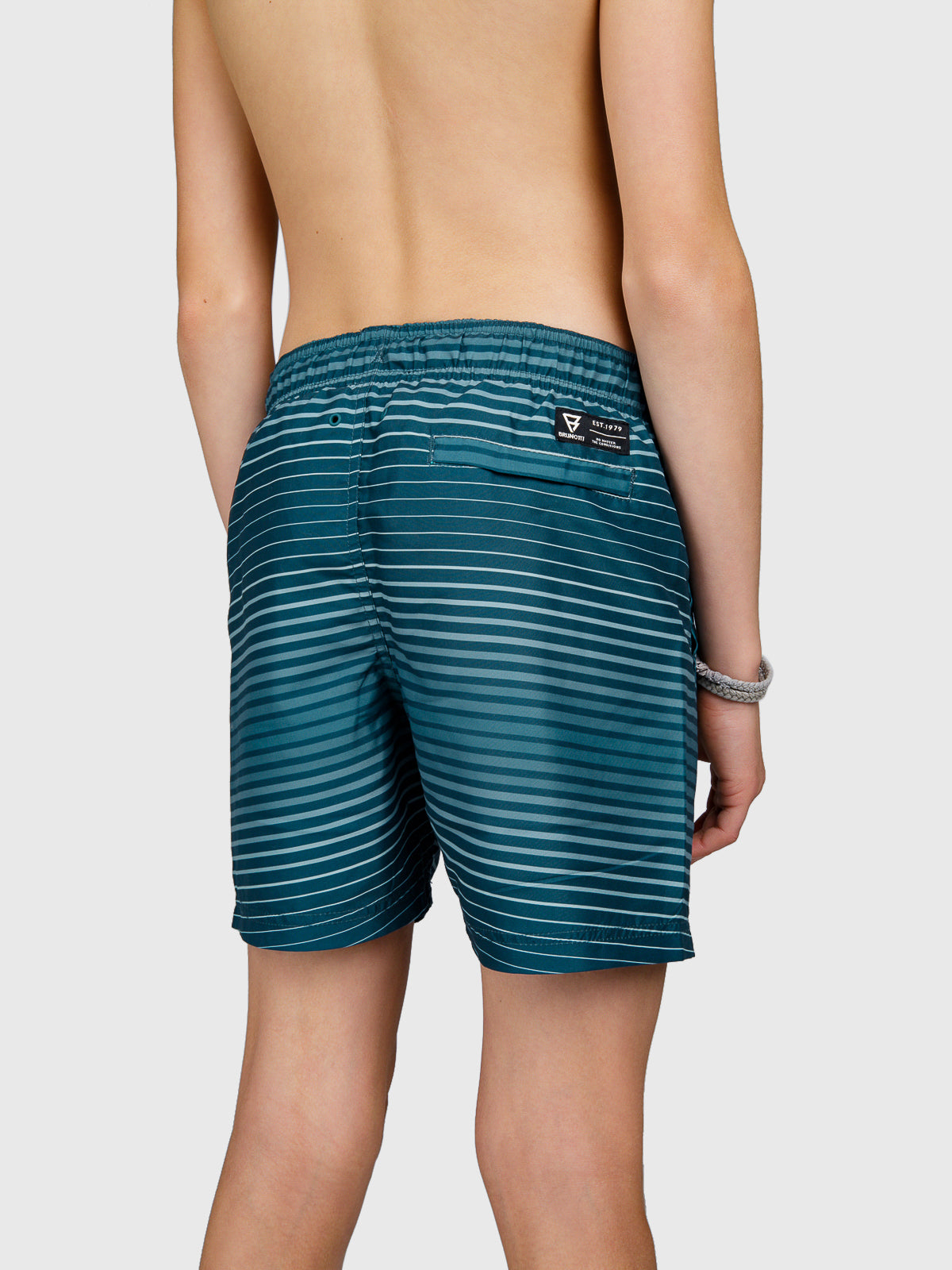 Cestery-Stripe Boys Swim Shorts | Mist