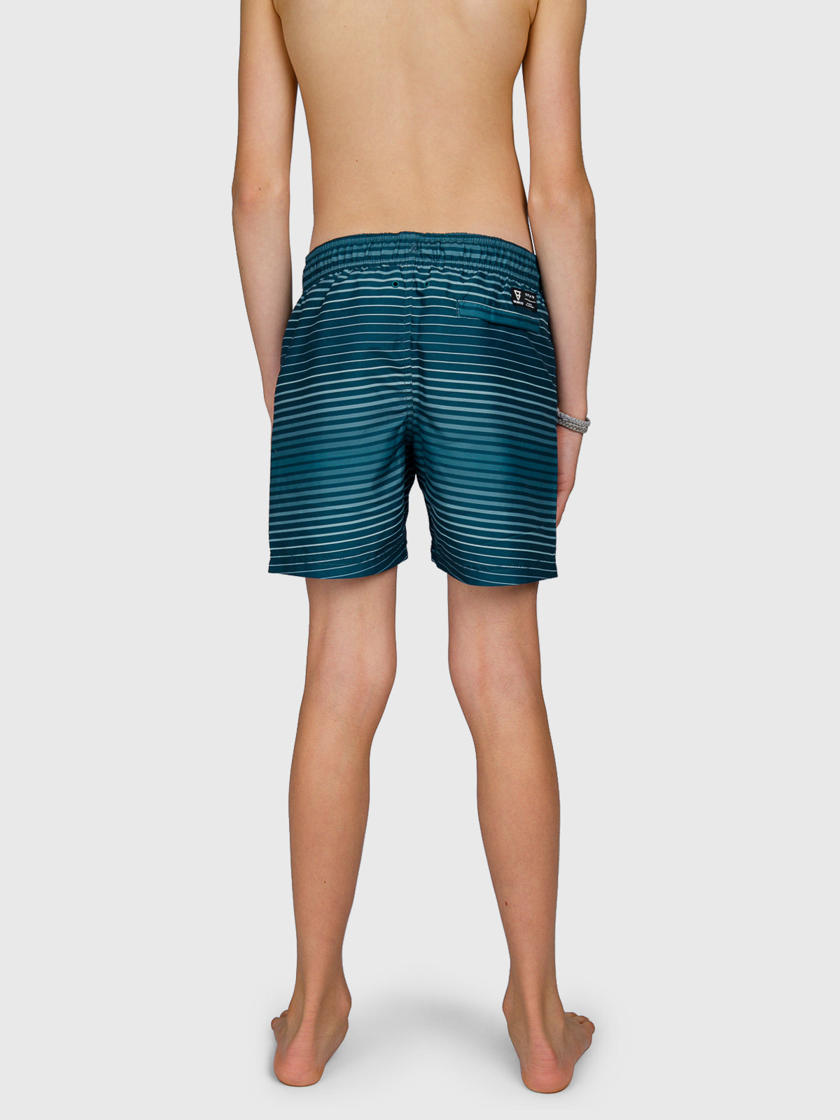 Cestery-Stripe Boys Swim Shorts | Mist