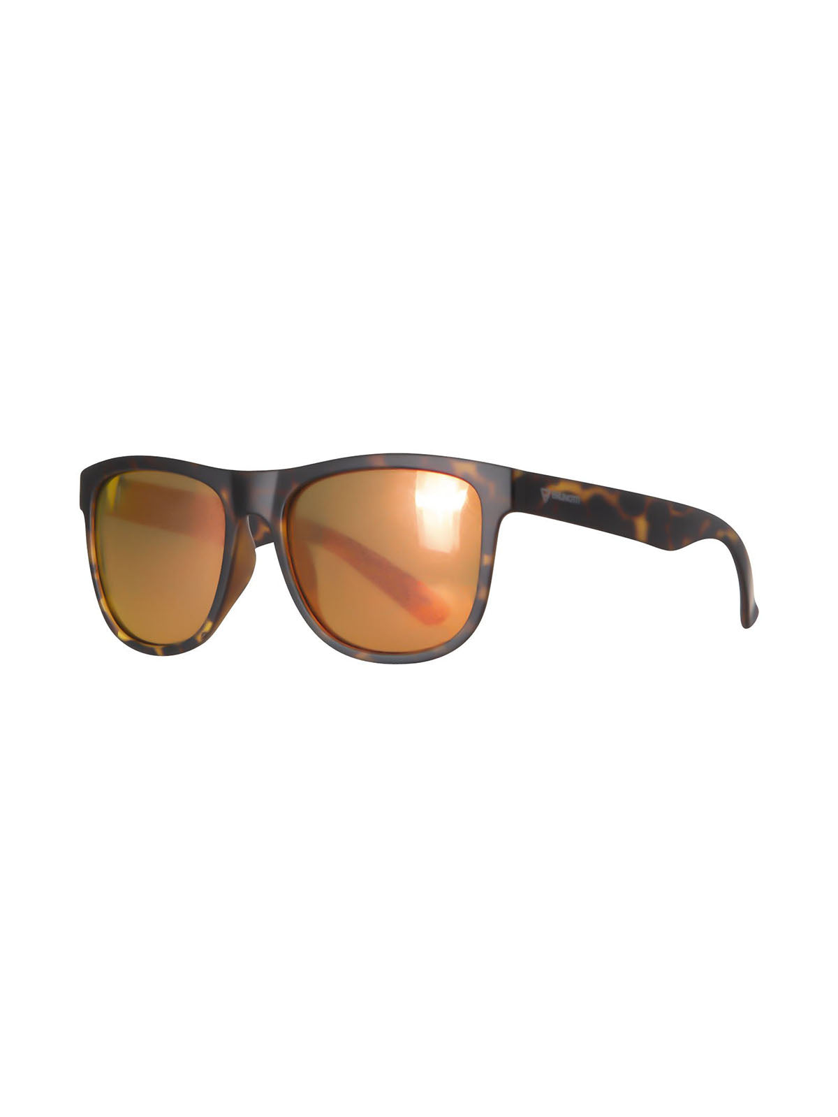 Trichonis 1 Men Sunglasses | Brown