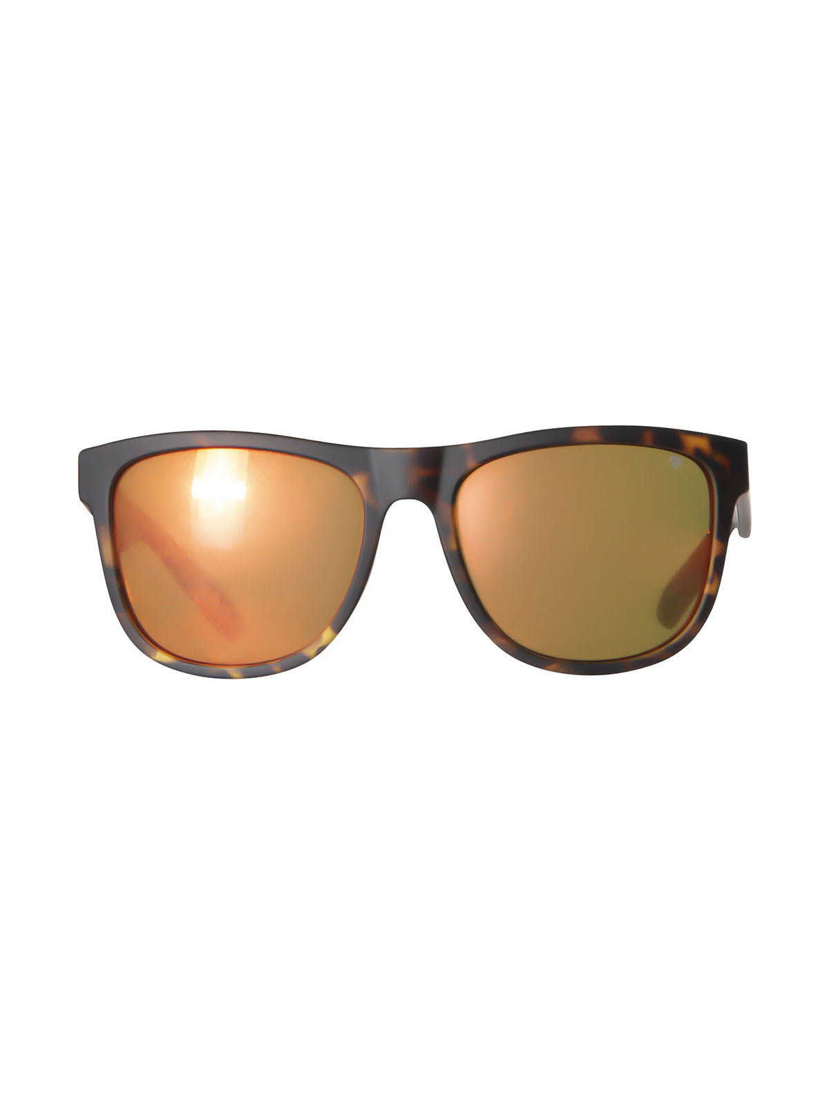 Trichonis 1 Men Sunglasses | Brown