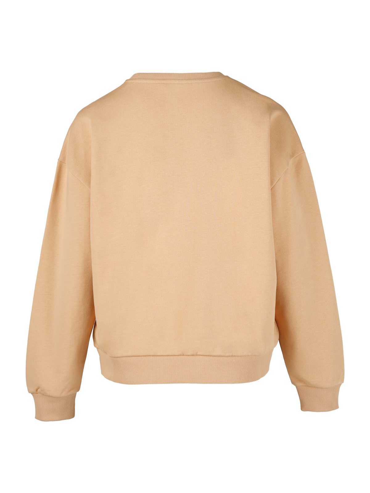 Arai-N Damen Sweatshirt | Orange