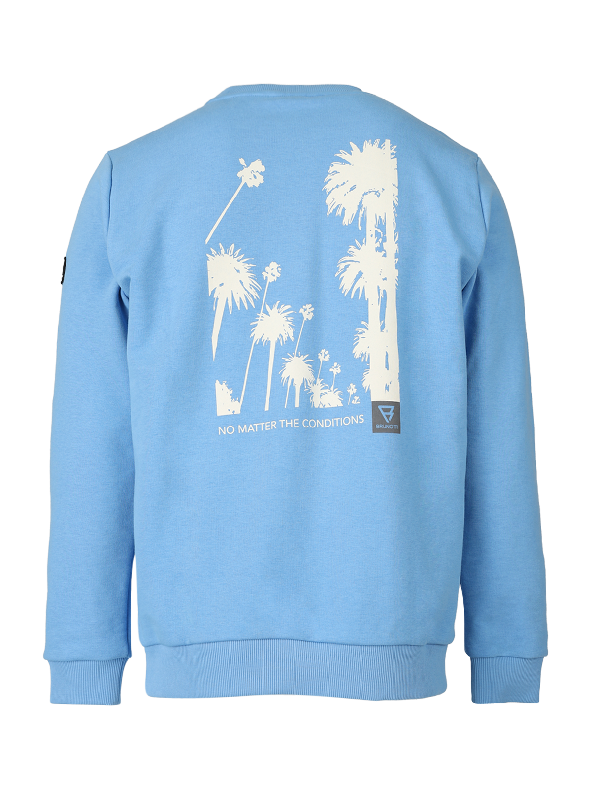 Rotcher Herren Sweatshirt | Blau