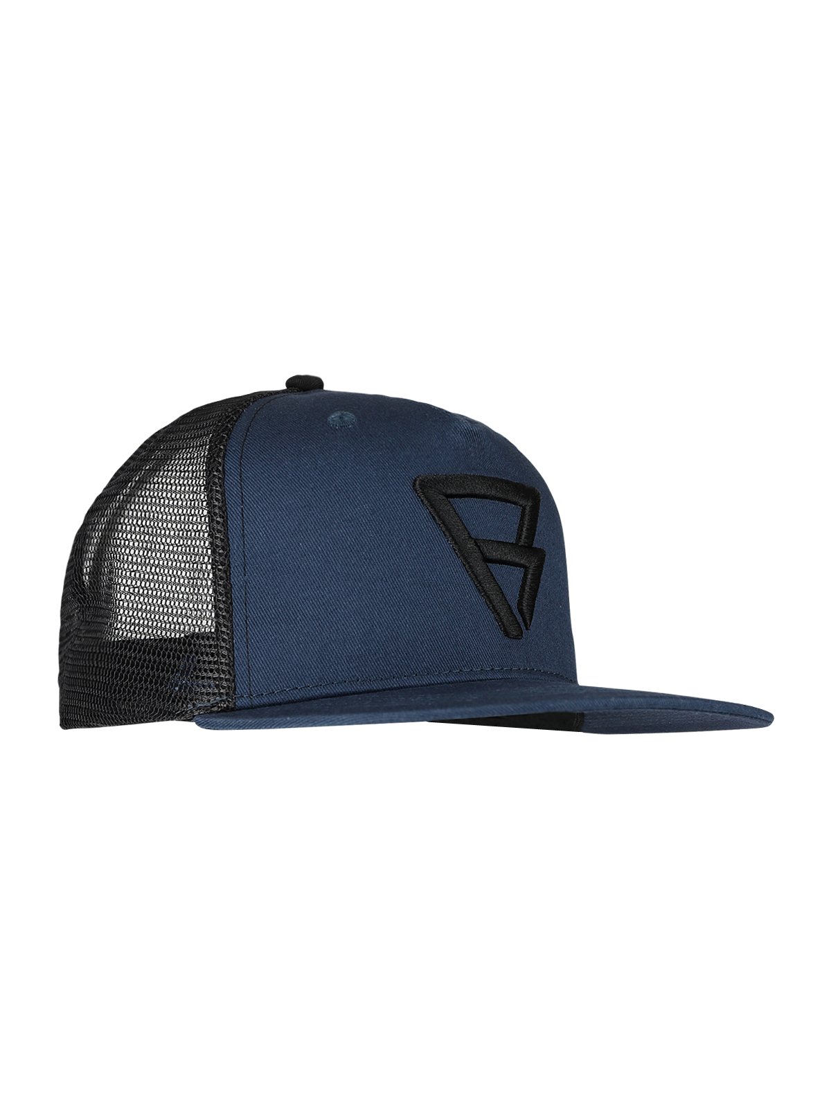 Hostiler Heren Cap | Blauw