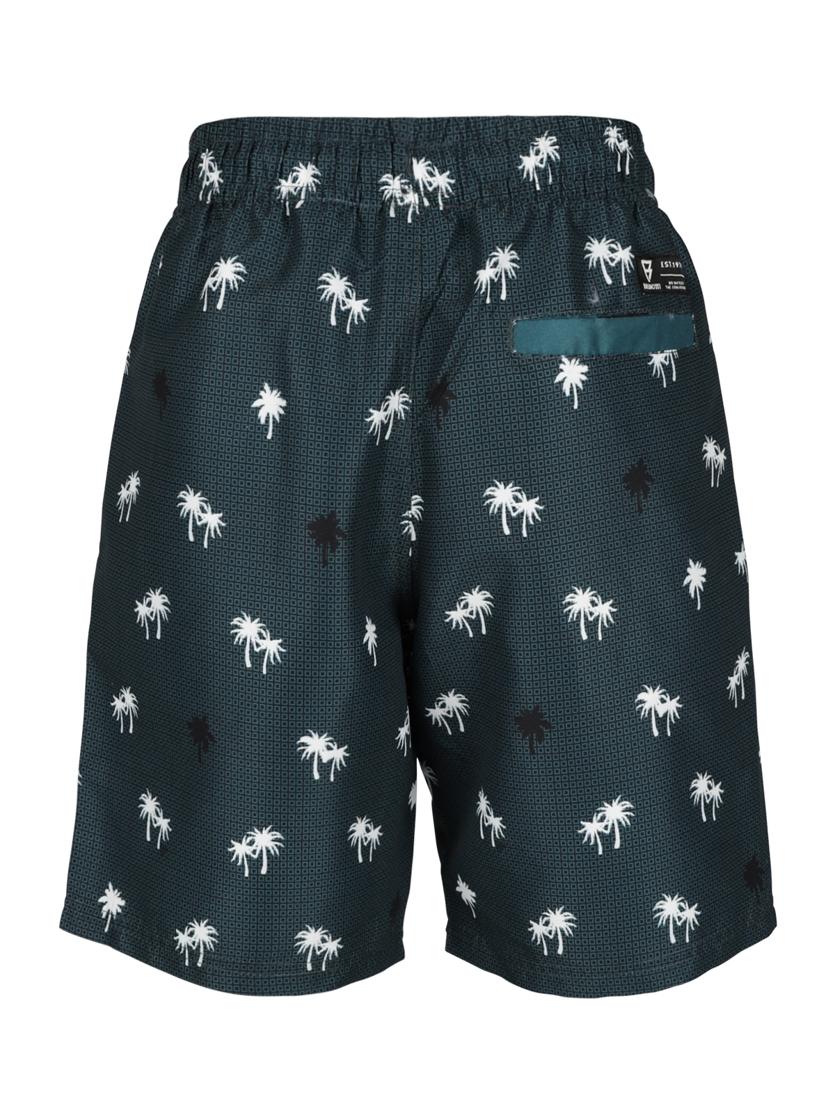 Hestey-AO Boys Swim Shorts | Green