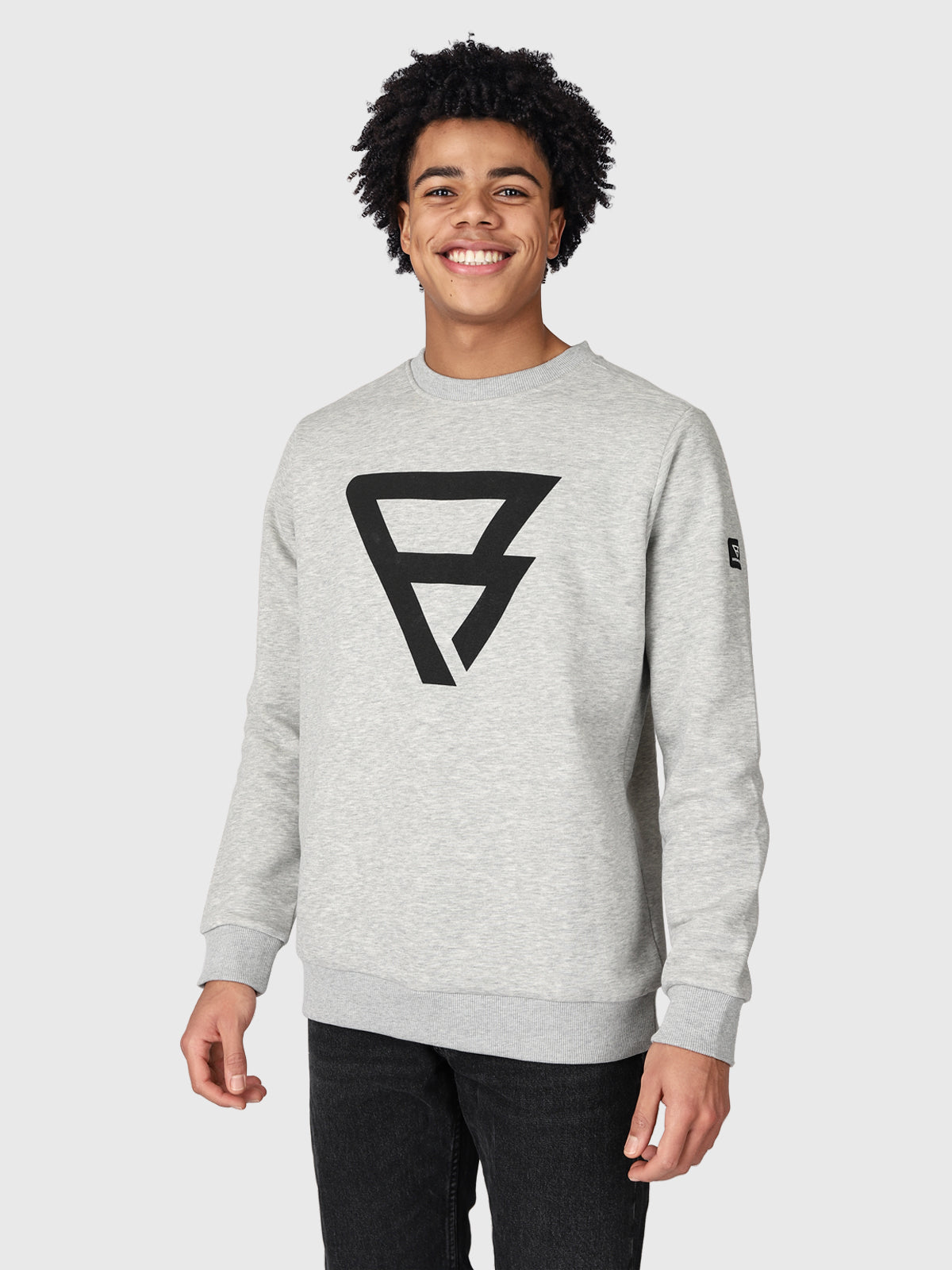 Dingo-R Herren Sweatshirt | Grau