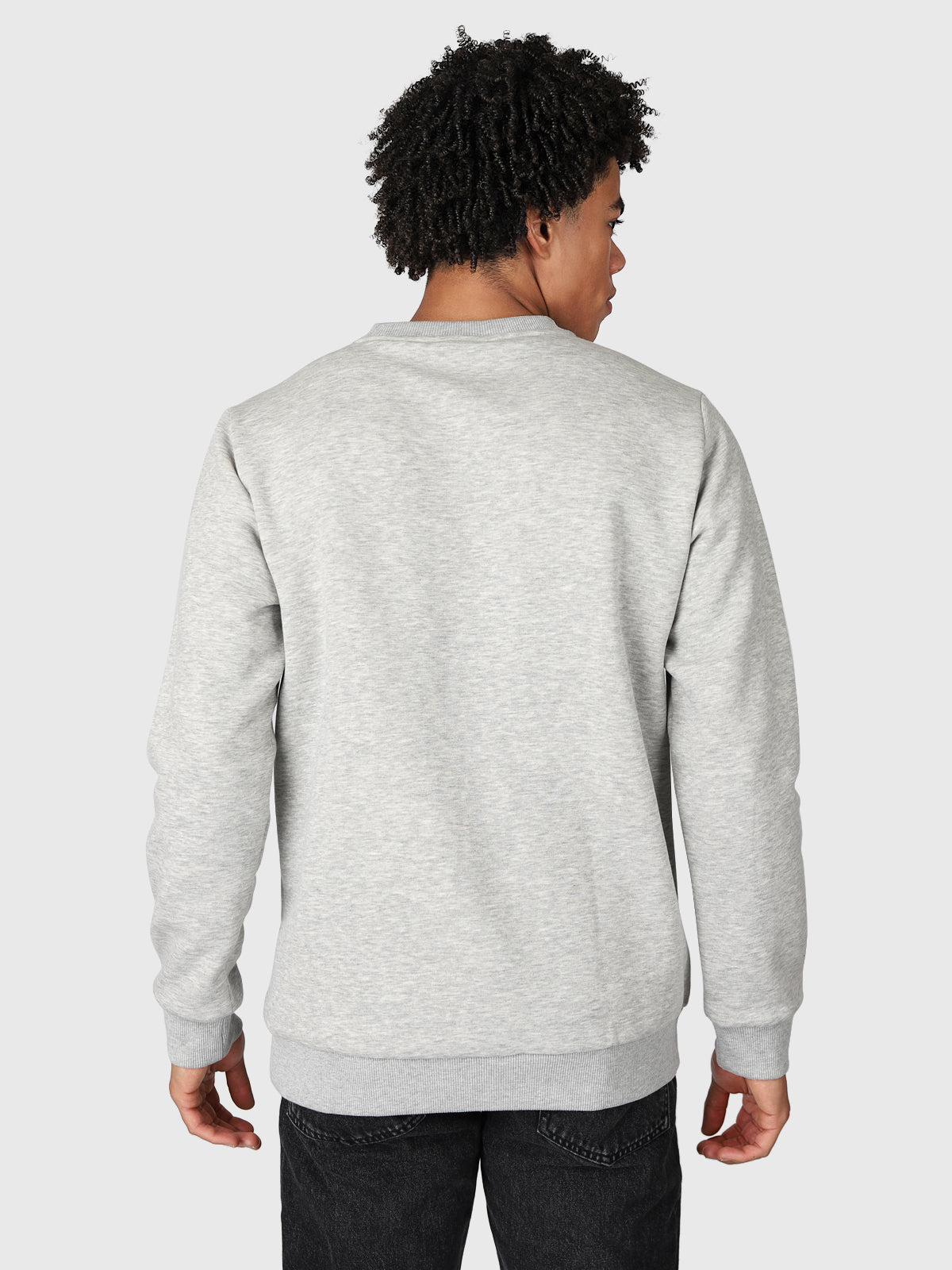 Dingo-R Herren Sweatshirt | Grau