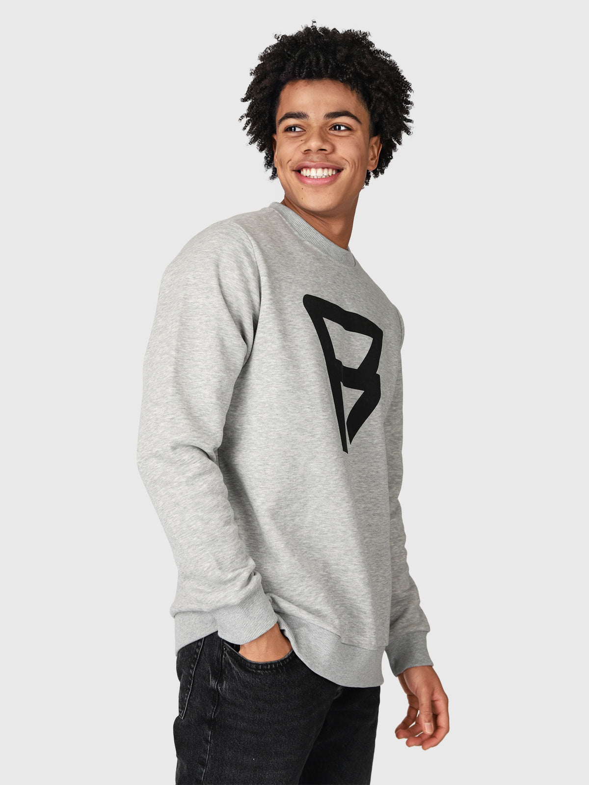 Dingo-R Herren Sweatshirt | Grau