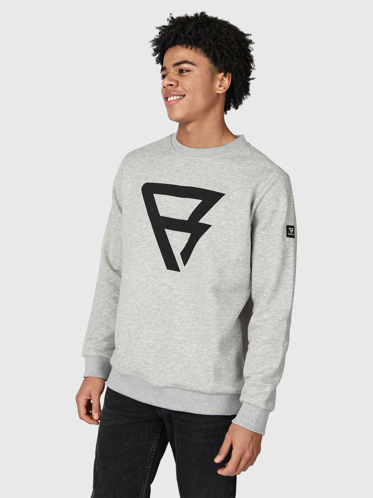 Dingo-R Herren Sweatshirt | Grau