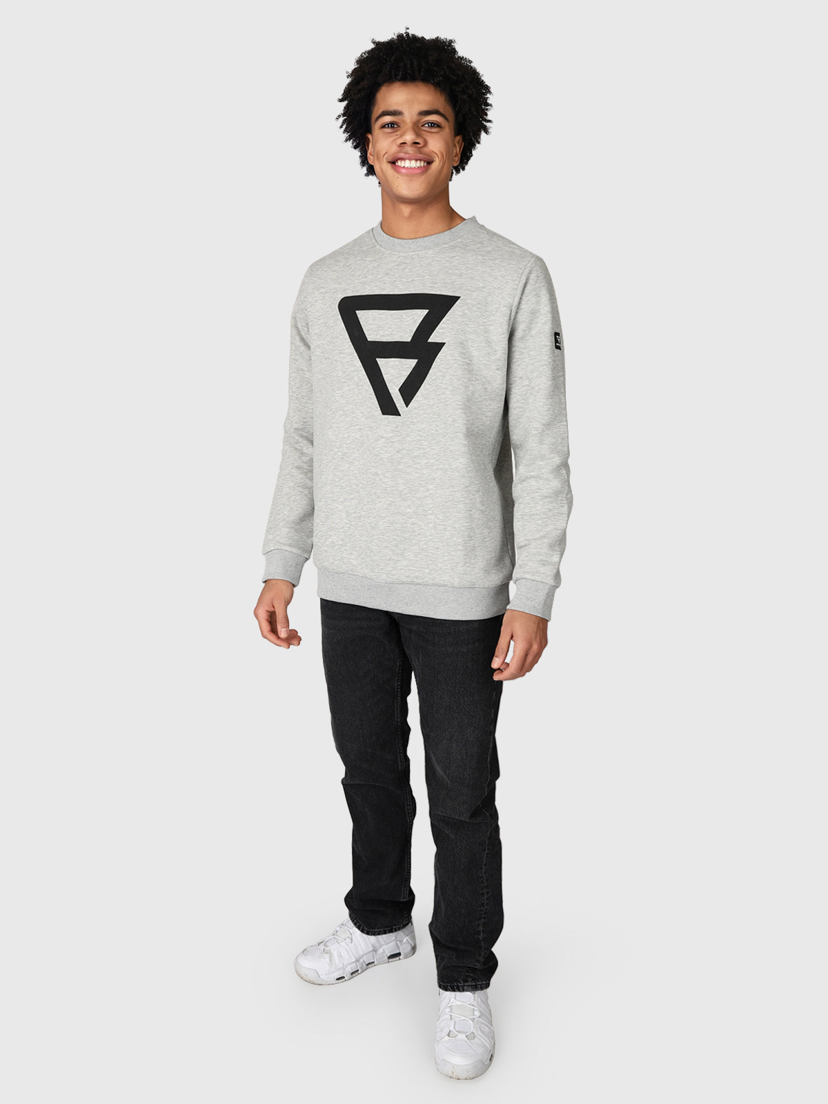 Dingo-R Herren Sweatshirt | Grau