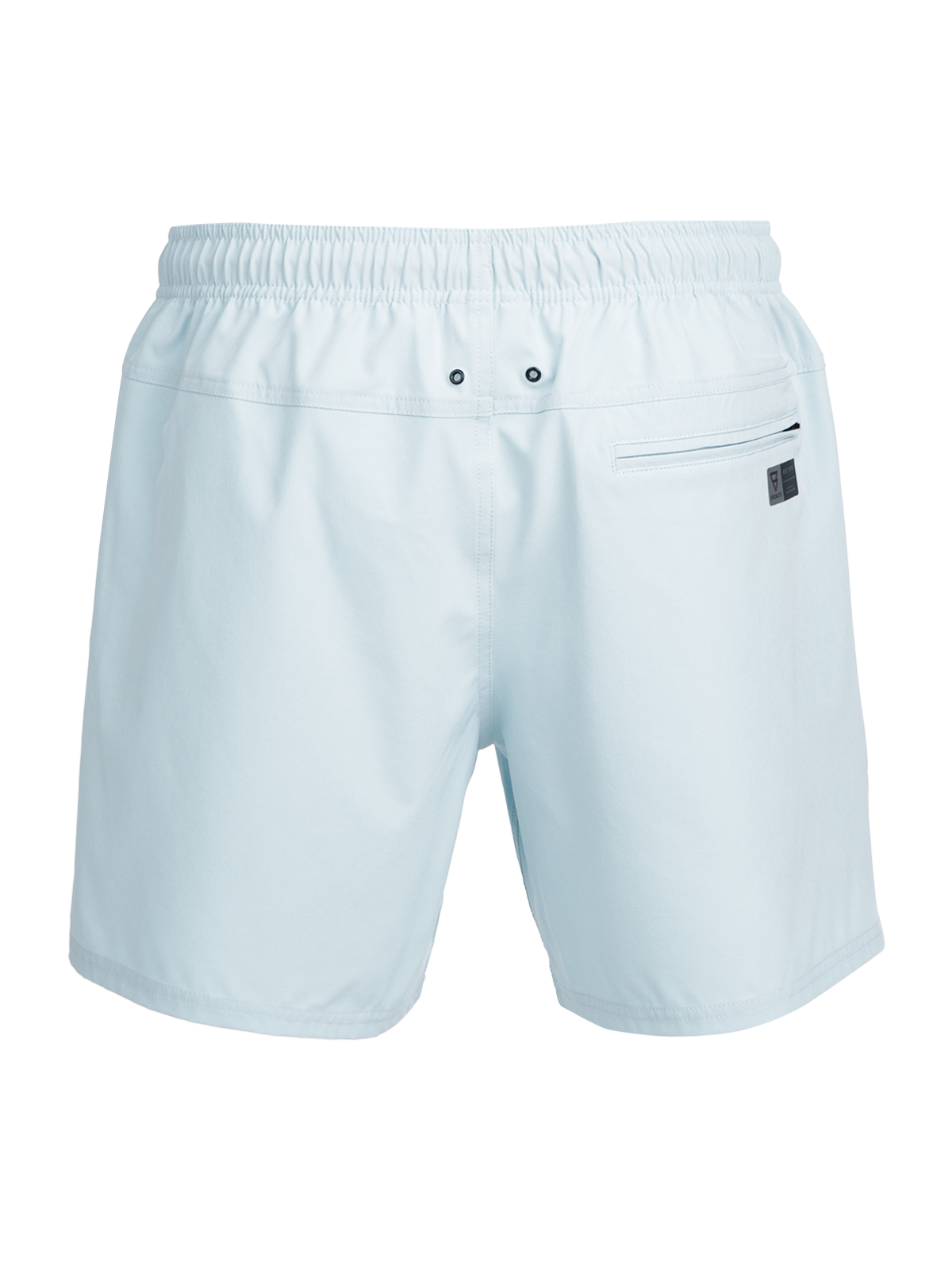 Bru-conic Men Swim Shorts | Mist