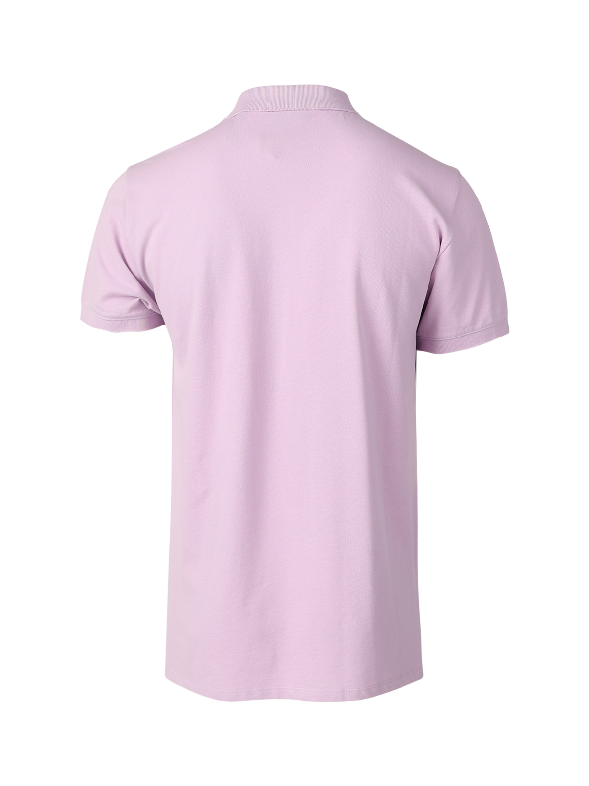 TavECO 男士 Polo 衫 | 紫色