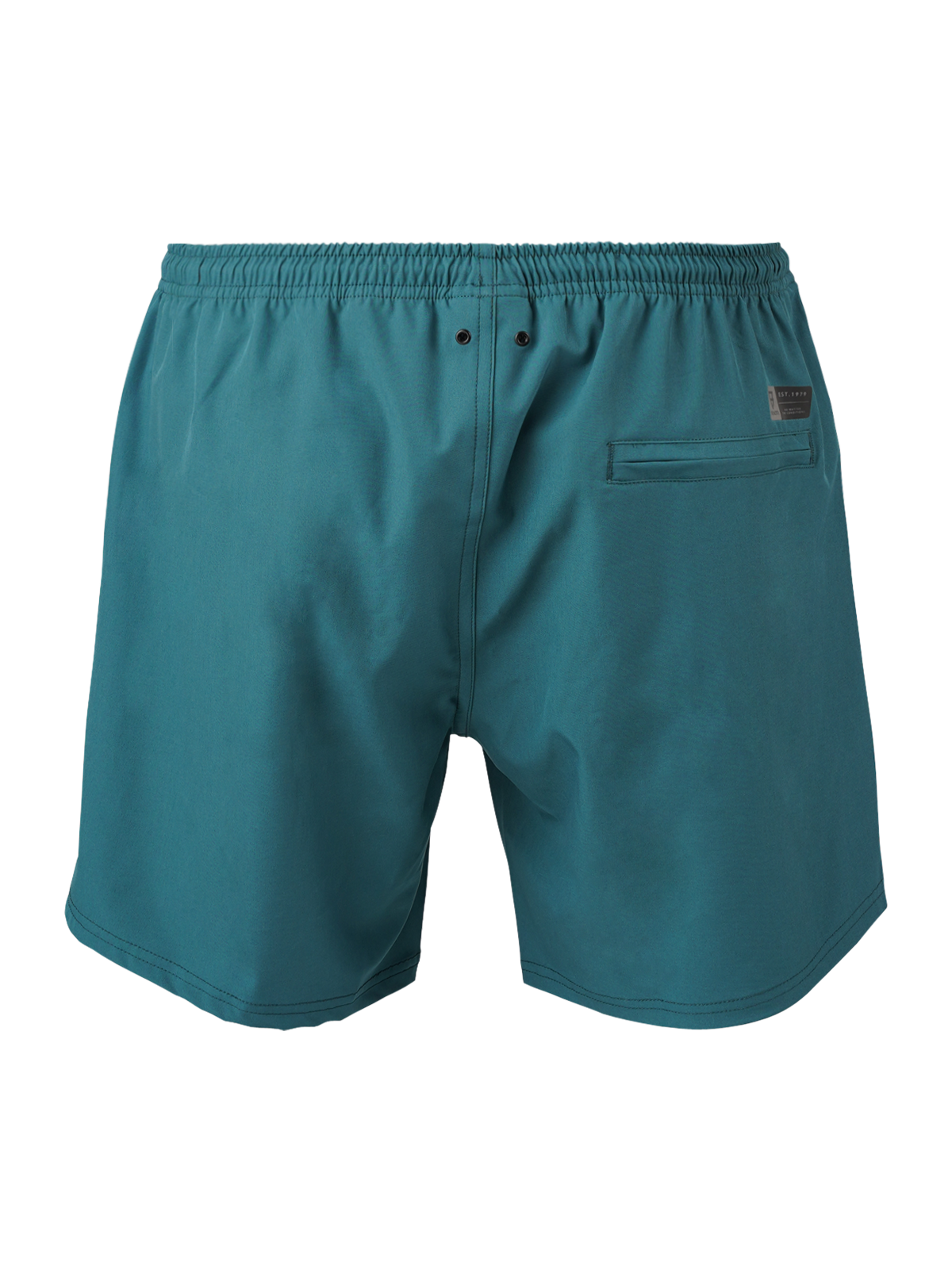 Lestero Men Swim Shorts | Green