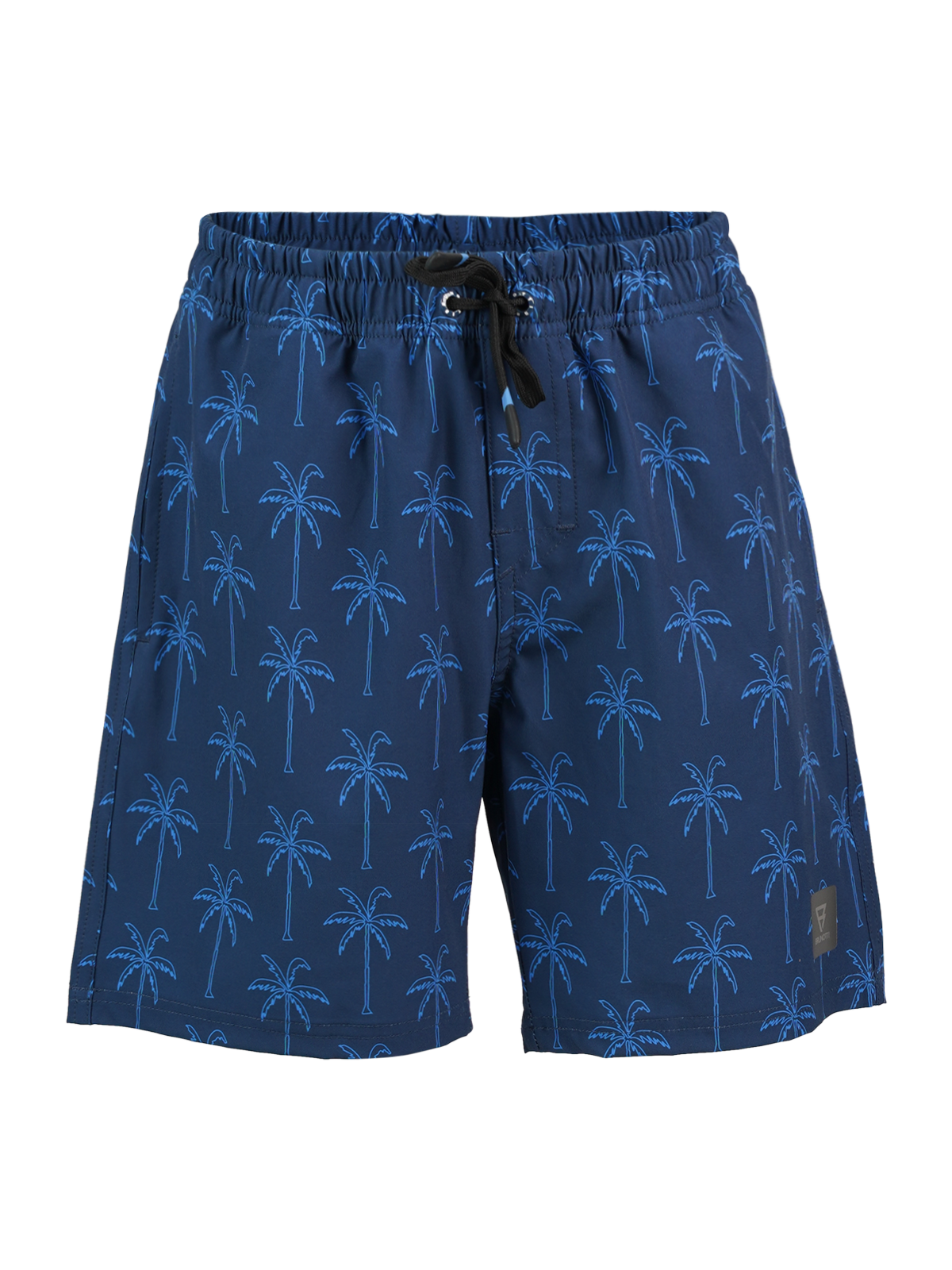Darminy Boys Swim Shorts | Blue