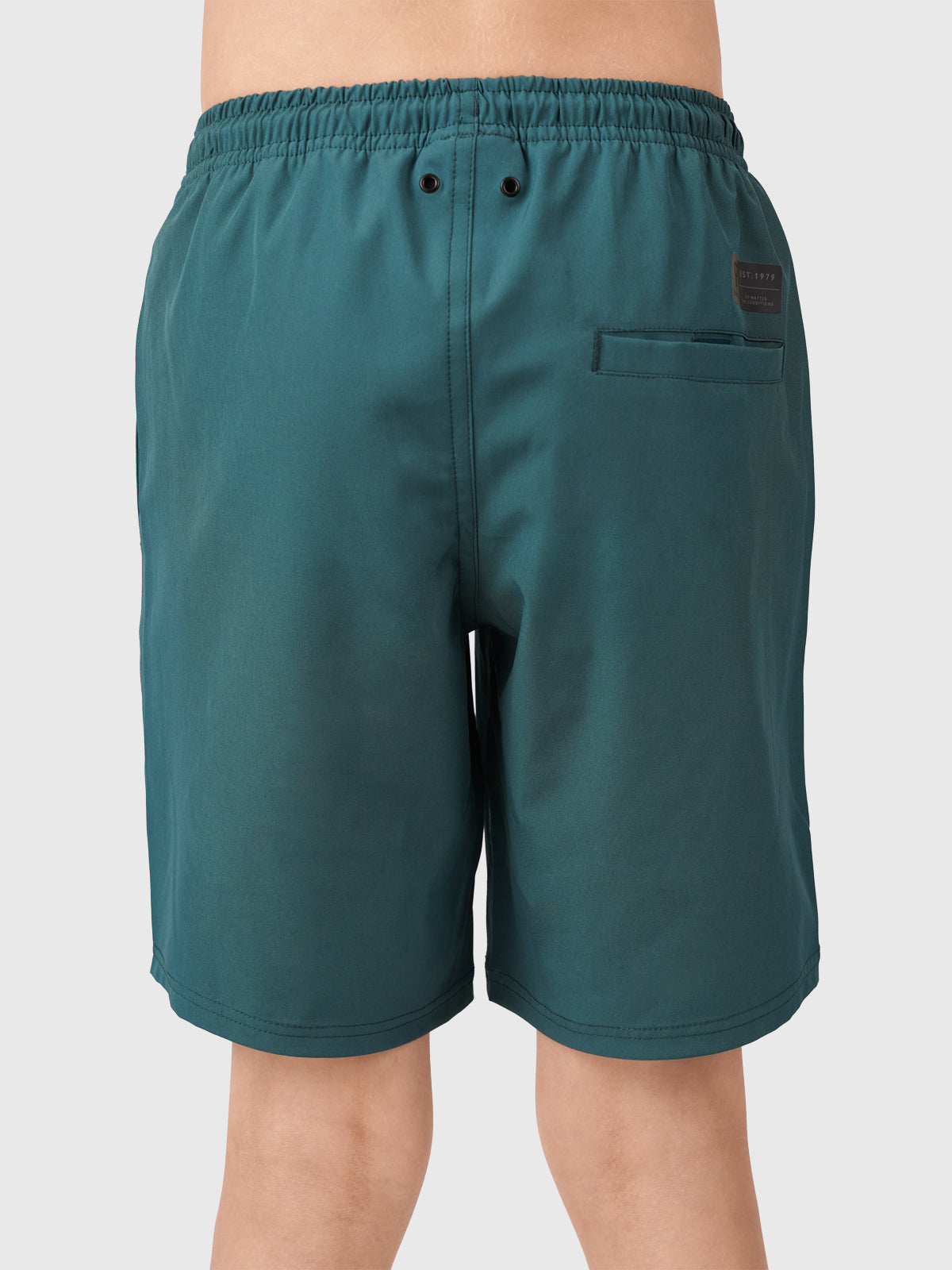 Lestery Boys Swim Shorts | Green