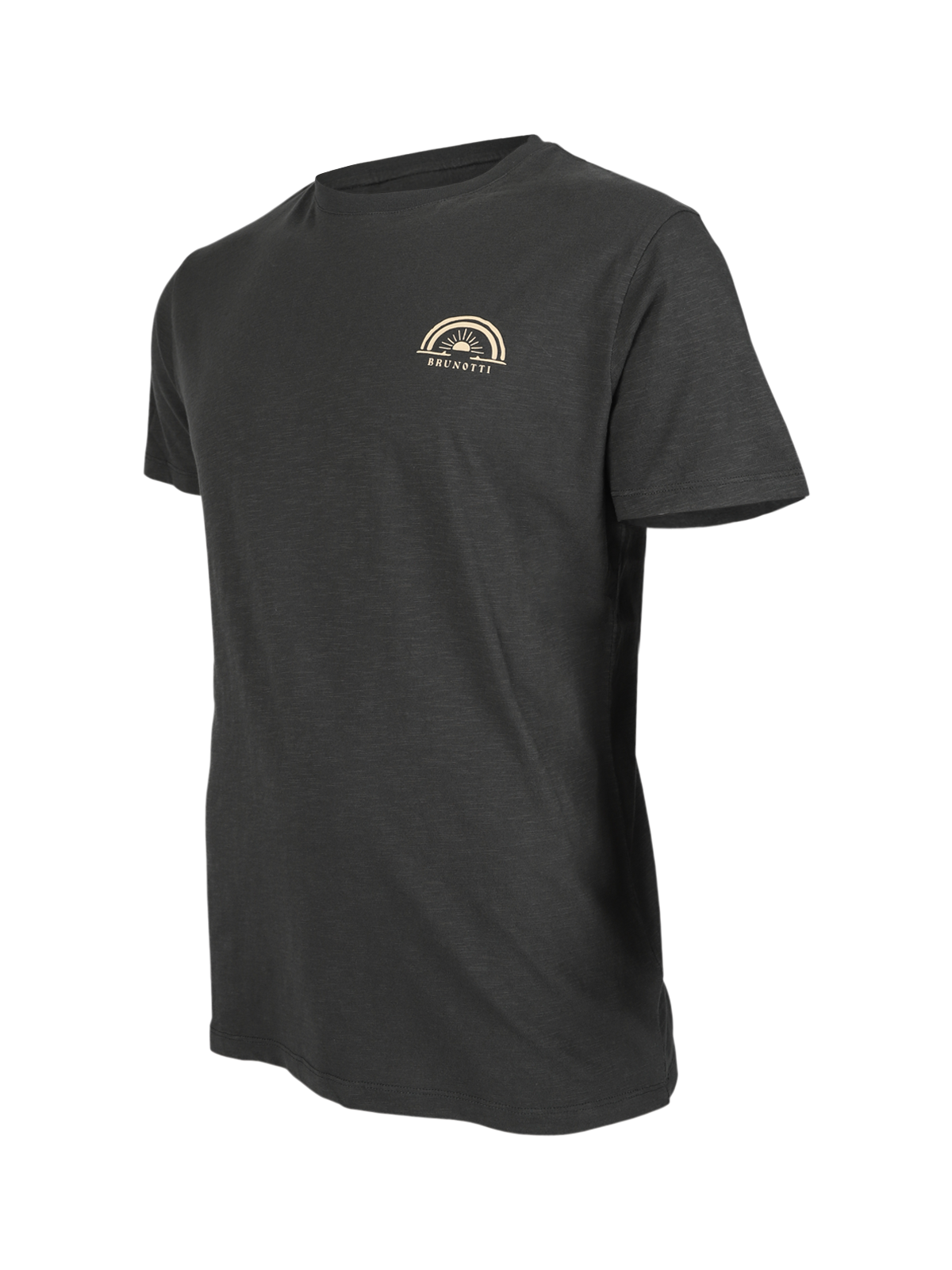 Whiterly Herren T-shirt | Pirate Black