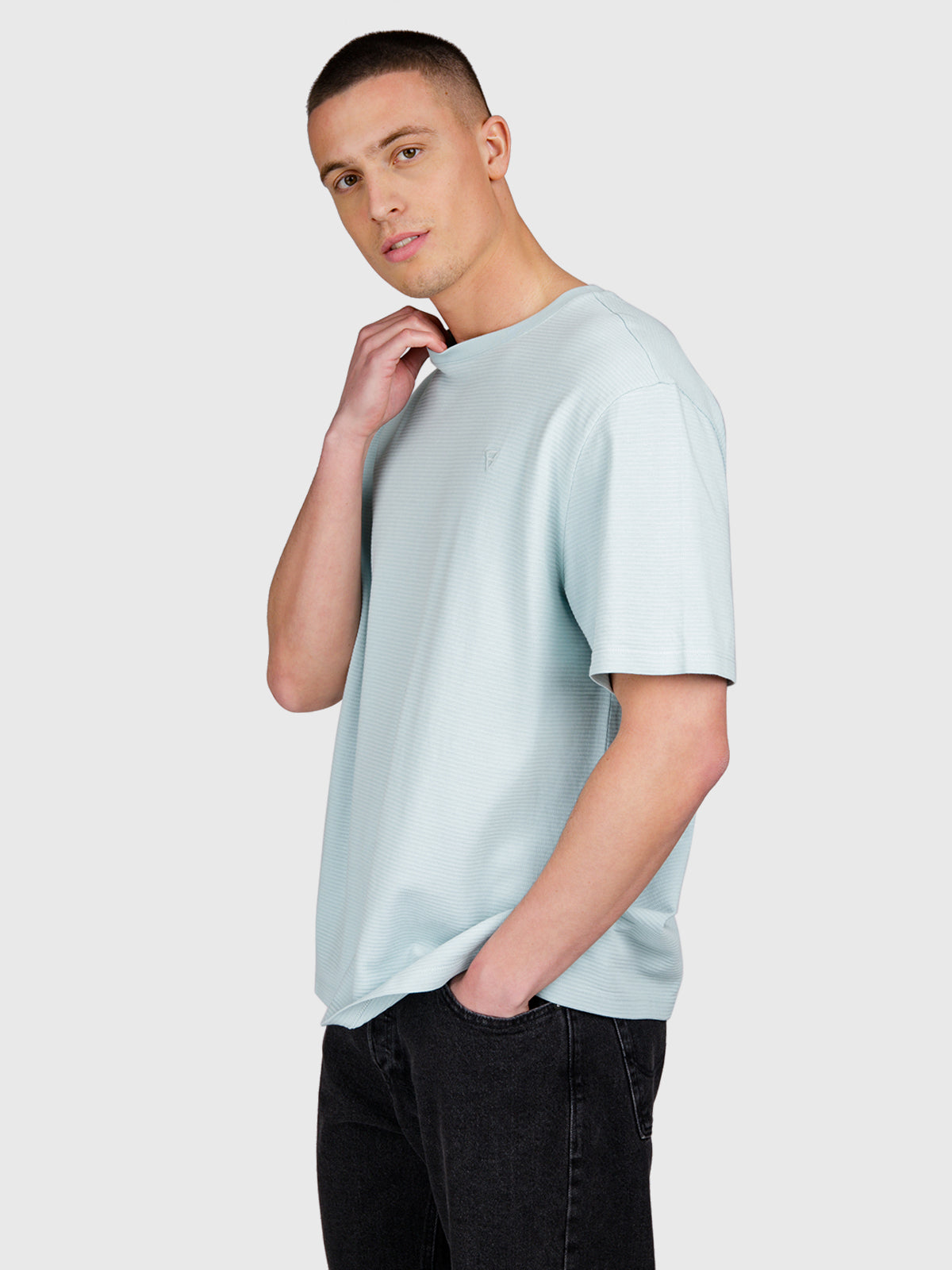 Dozan Men T-shirt | Mist