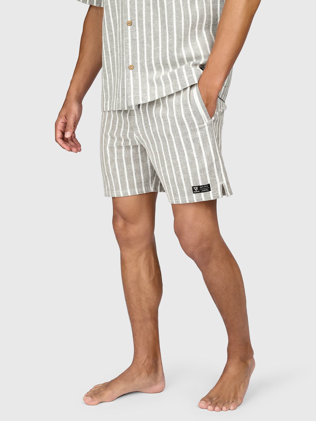 Aiden-Stripe Heren Walk Shorts | Snow
