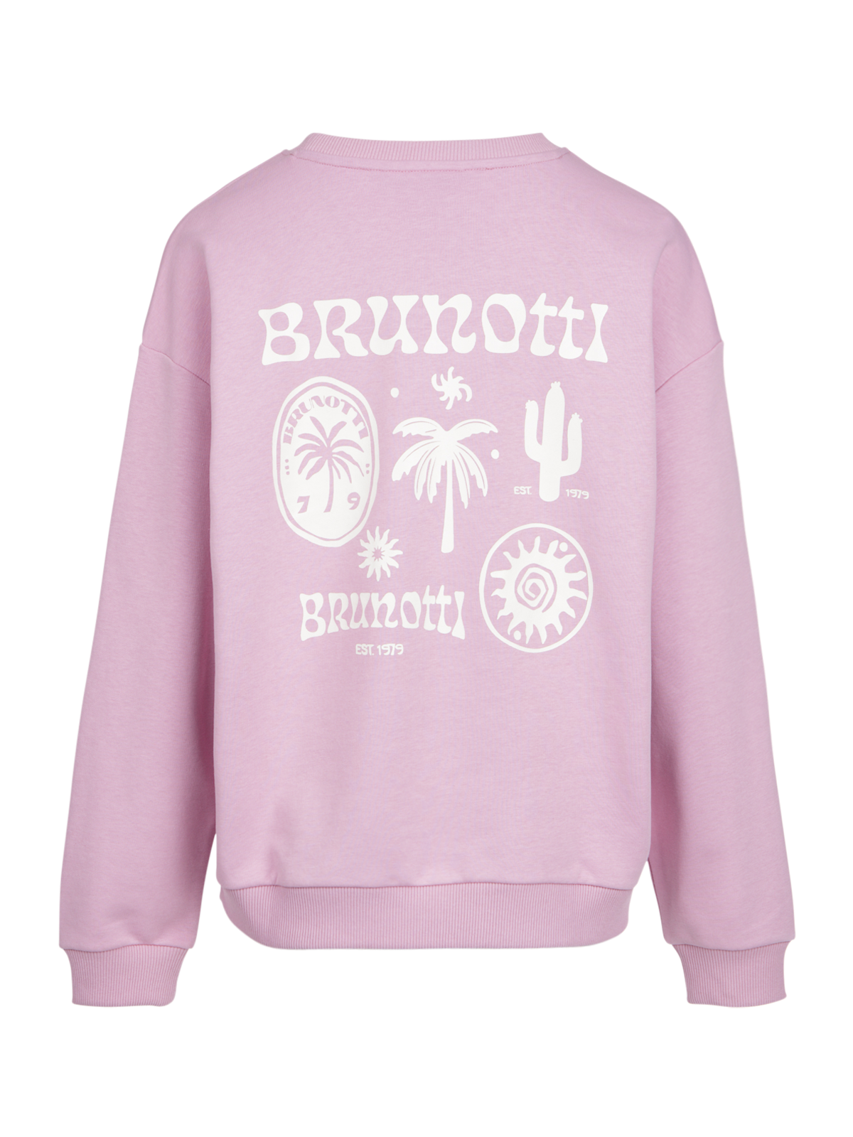 Asina Women Sweater | Mauve Mist