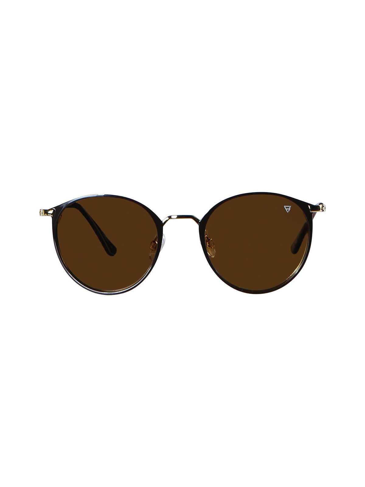 Huron 2 Sunglasses | Brown