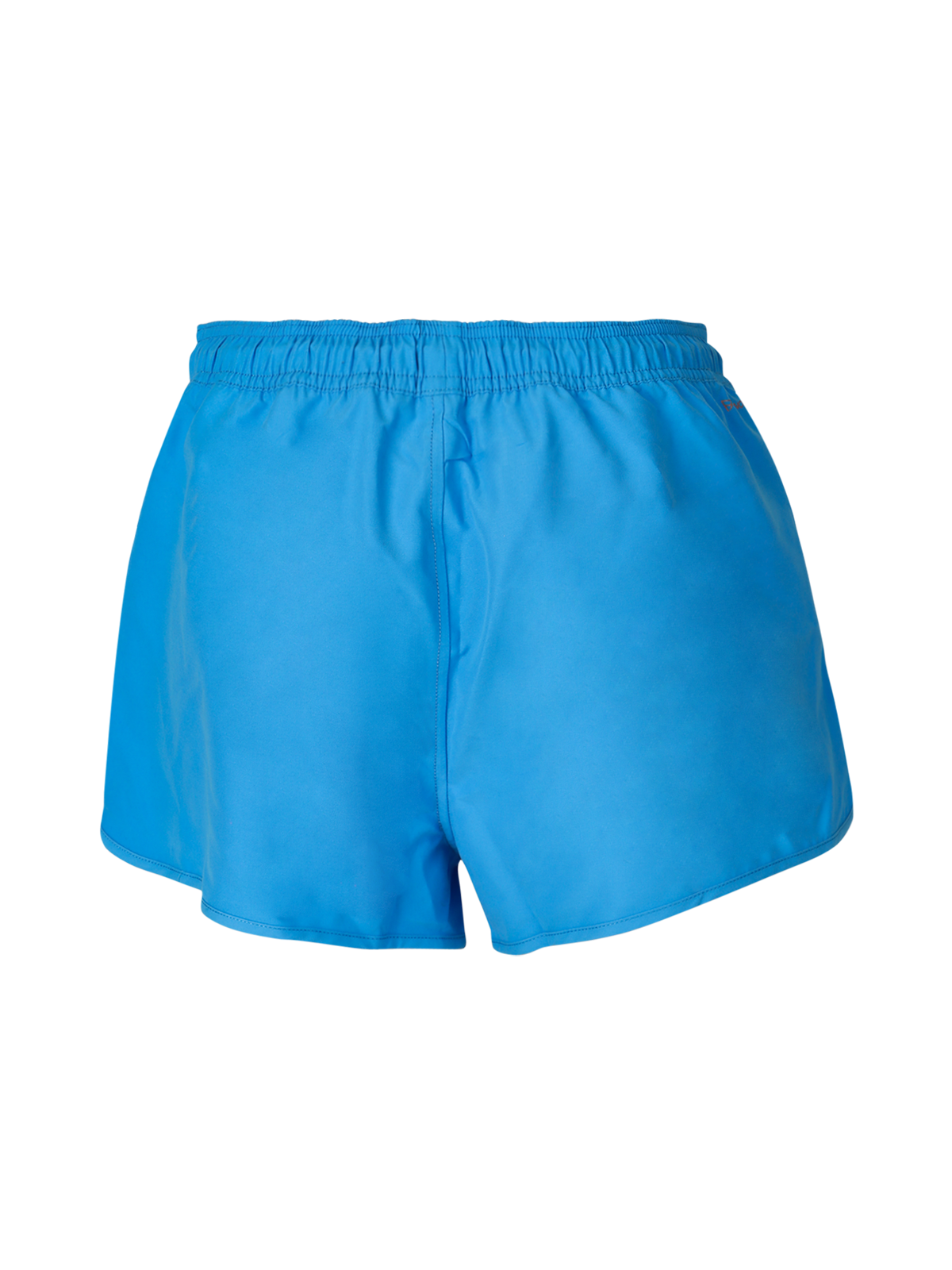 Greeny Women Swim Shorts | Blue