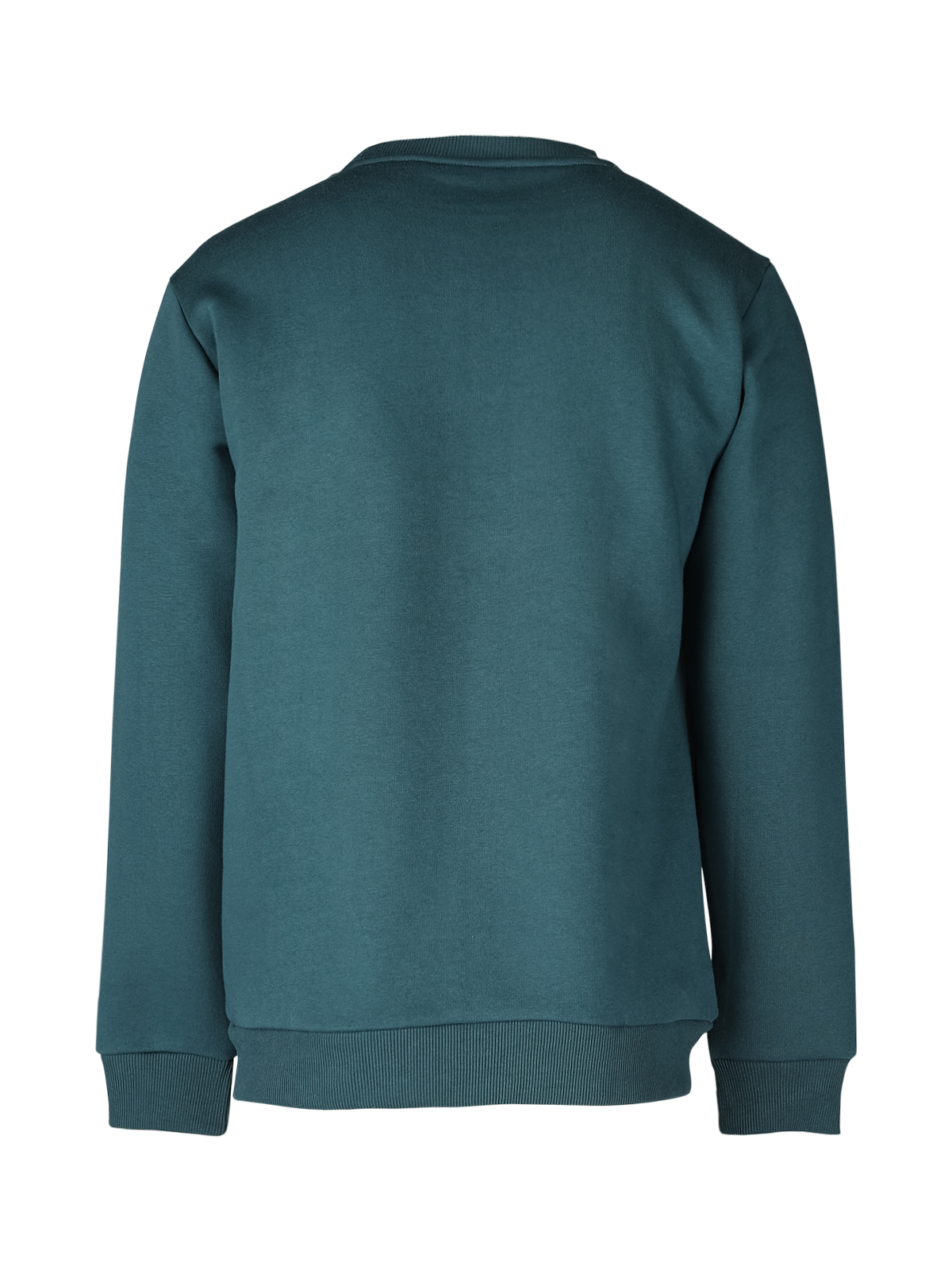 Nasher-R Men Sweater | Green